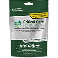 OXBOW Critical Care Apple Banana Animal Supplement Assist Feeding Formula 141g